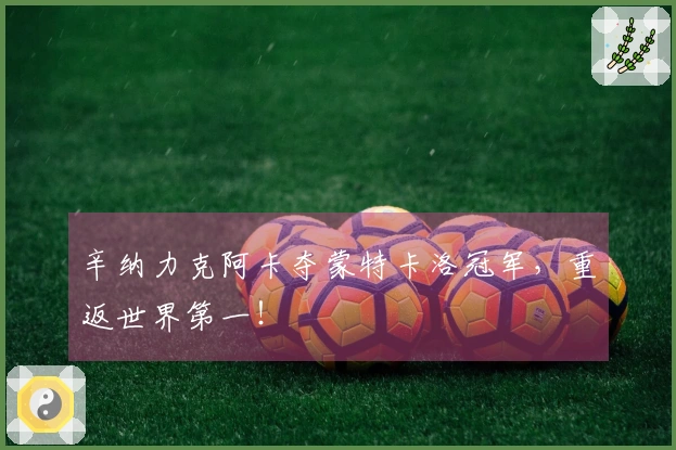 辛纳力克阿卡夺蒙特卡洛冠军，重返世界第一！