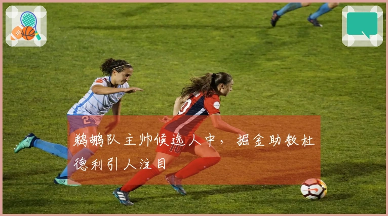 鹈鹕队主帅候选人中，掘金助教杜德利引人注目